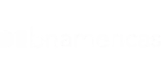 BNamericas