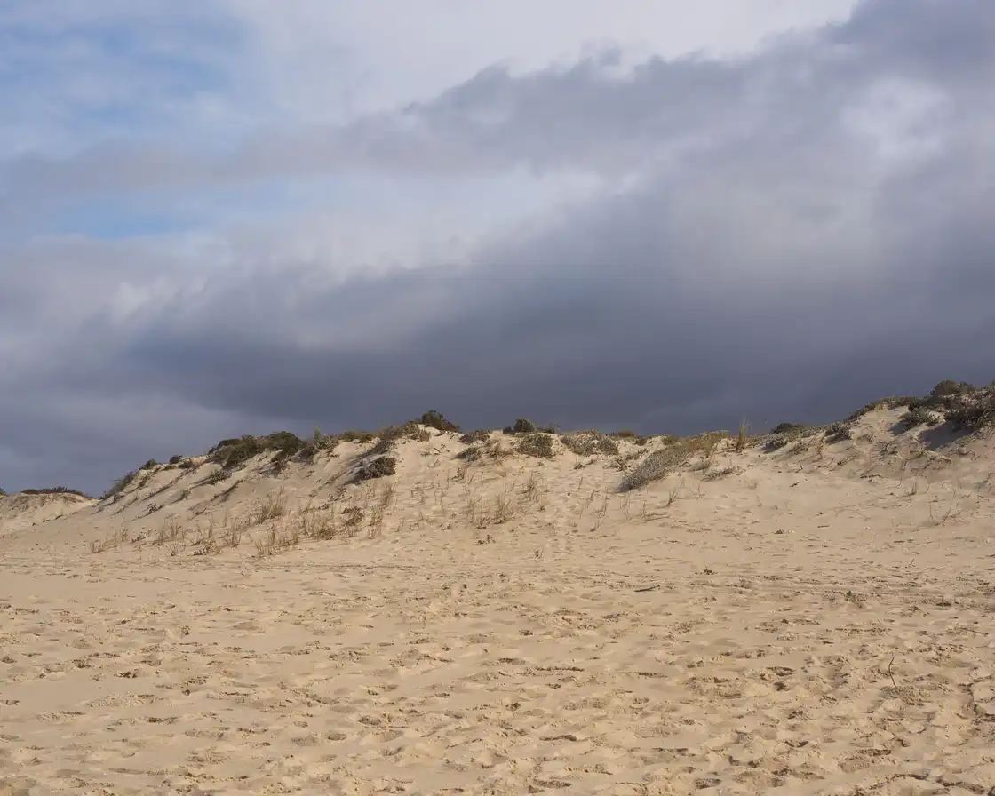 Sand dunes at Comporta under an overcast sky